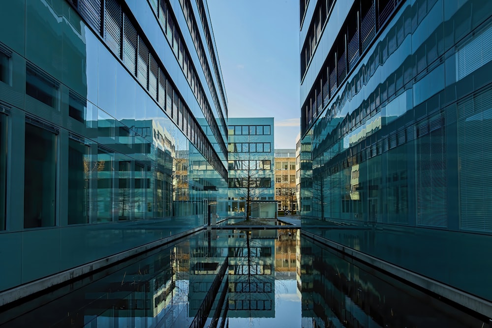 body of water between high rise buildings during daytime