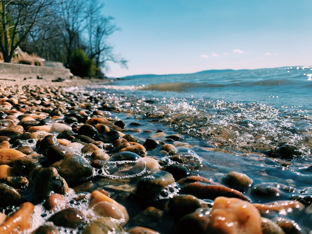 brown and gray stones on seashore during daytime