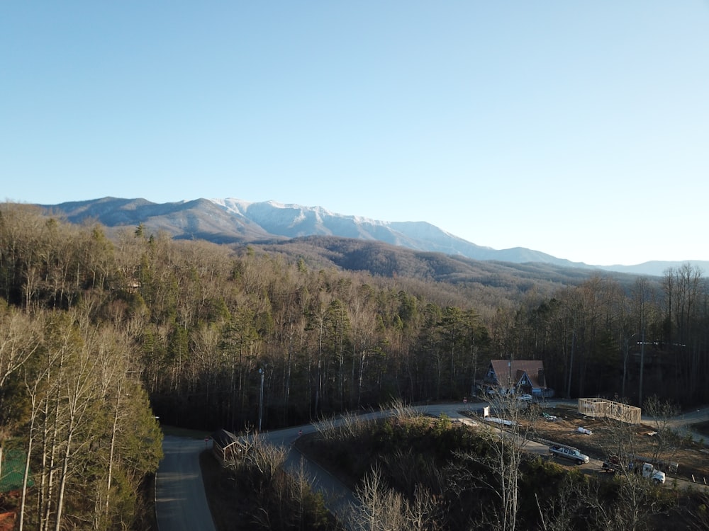 green trees and mountains during daytime