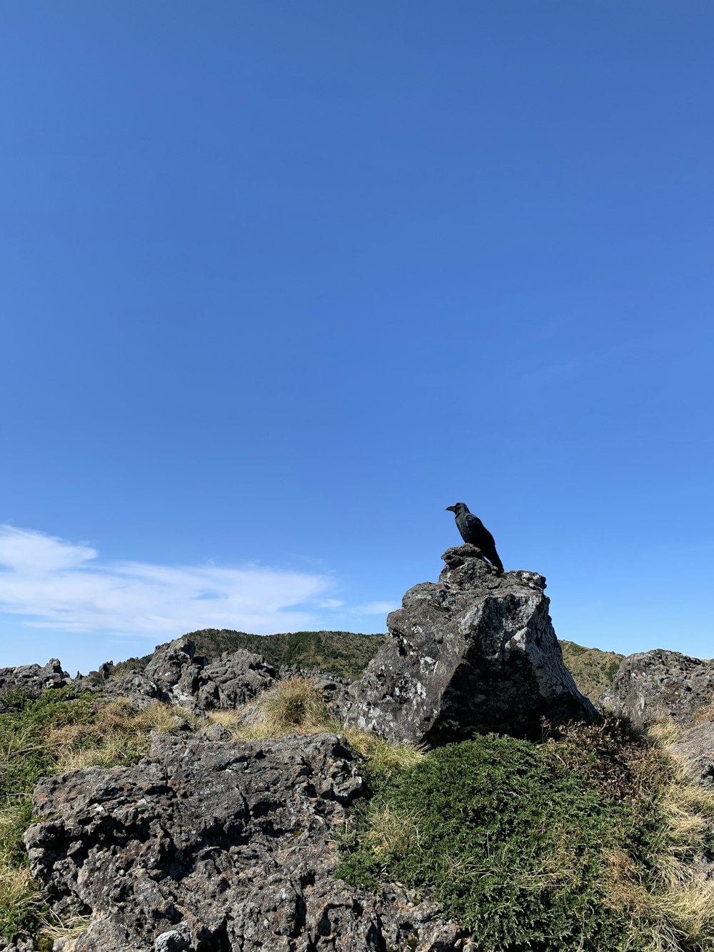 oiseau noir sur la formation rocheuse grise sous le ciel bleu pendant la journée