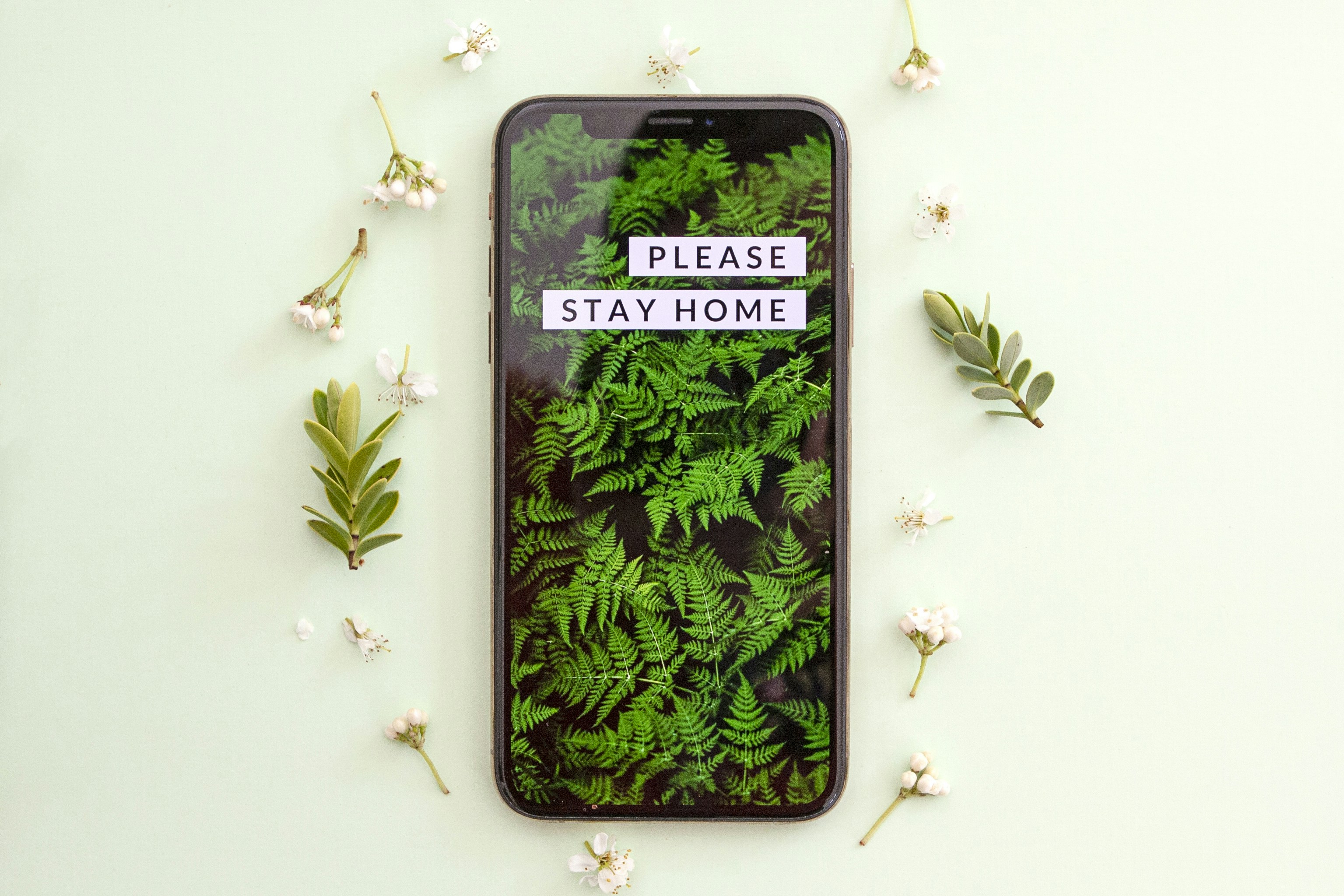 Please stay home #covid19