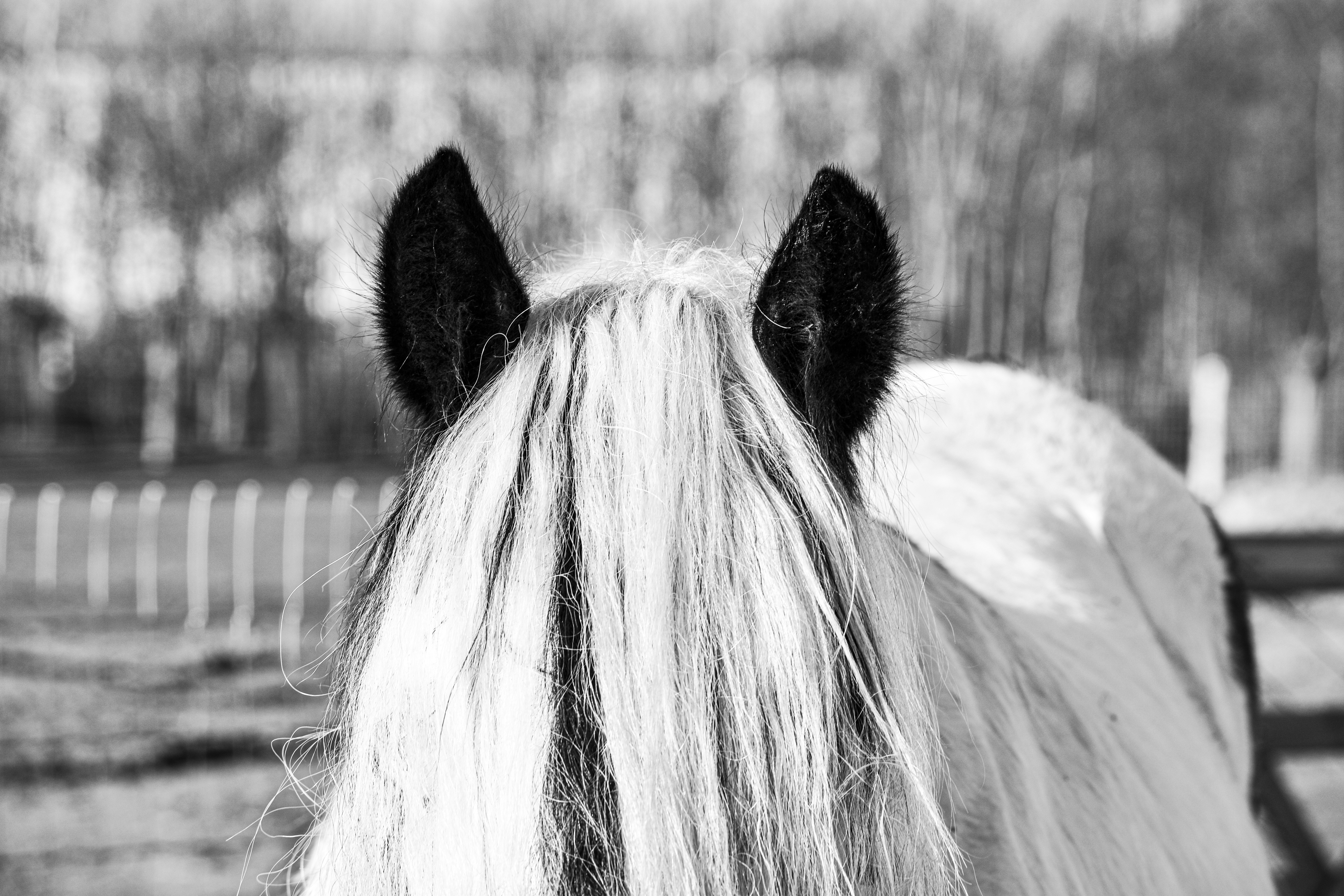 Photo by aurelietack