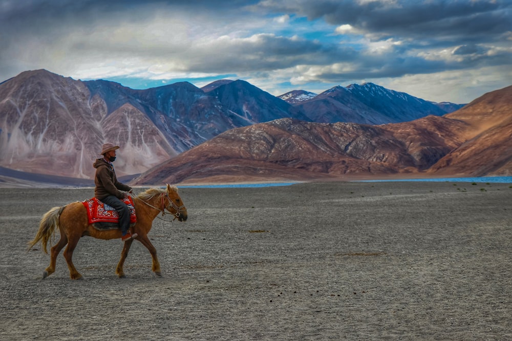 man riding brown horse on gray sand during daytime