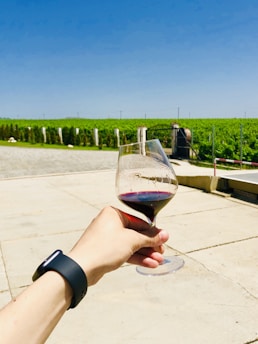 A hand wearing a black smartwatch holds a half-full glass of red wine against a backdrop of a vineyard. The horizon is lined with lush green grapevines under a clear blue sky. The ground appears to be made of light-colored concrete or stone.