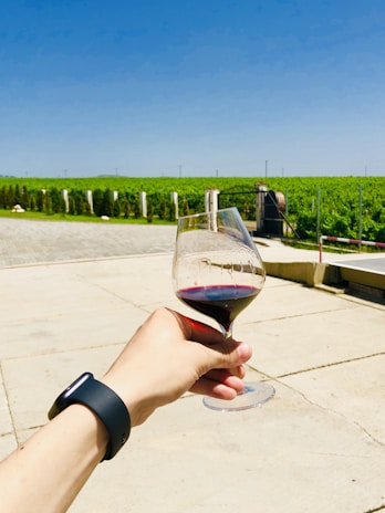 A hand wearing a black smartwatch holds a half-full glass of red wine against a backdrop of a vineyard. The horizon is lined with lush green grapevines under a clear blue sky. The ground appears to be made of light-colored concrete or stone.
