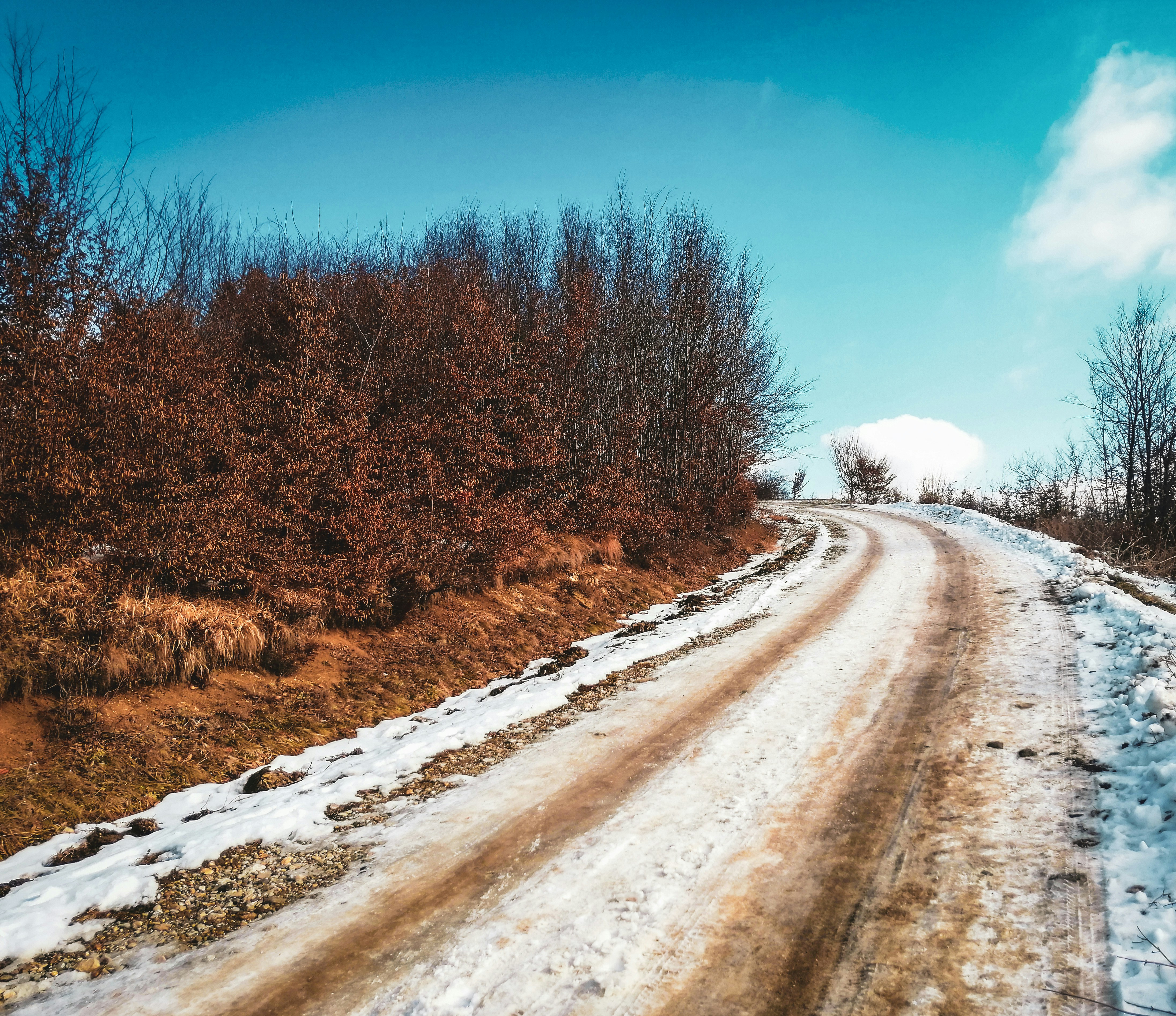 brown trees on snow covered ground under blue sky during daytime bosnia and herzegovina zoom background