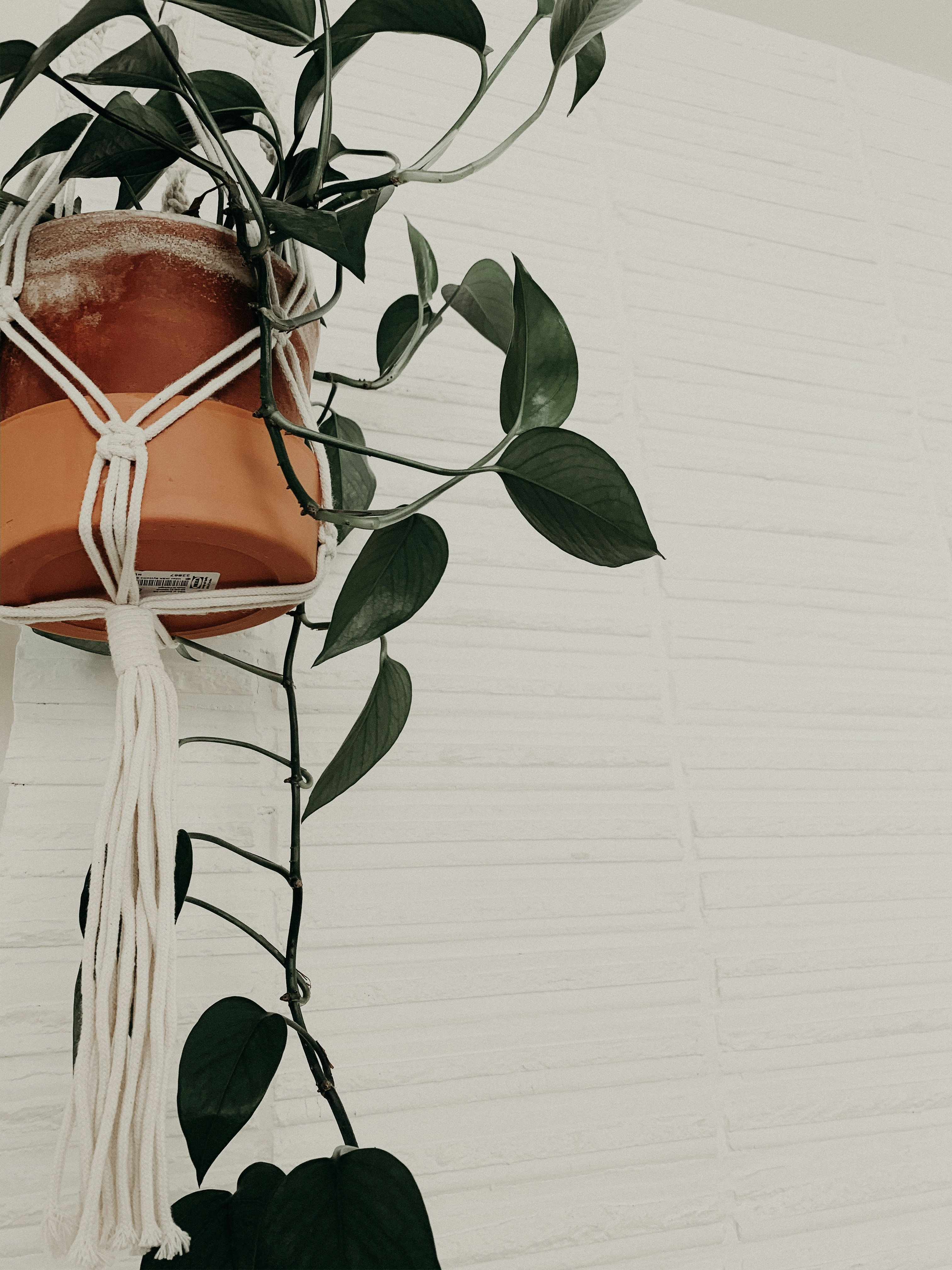 Photo by lightrisephoto