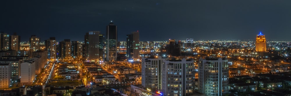 city skyline during night time