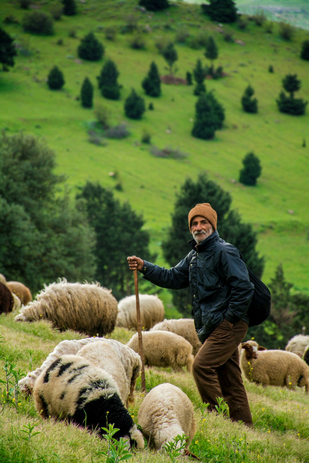 Highland photo spot Asalem Masal