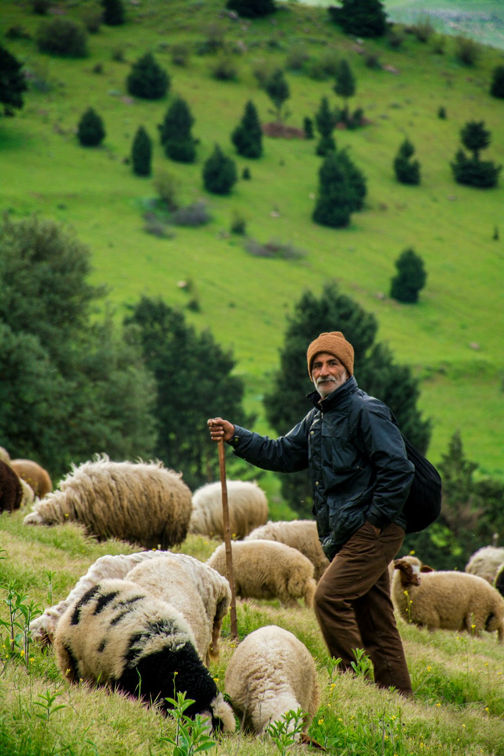man in black jacket standing on sheep during daytime