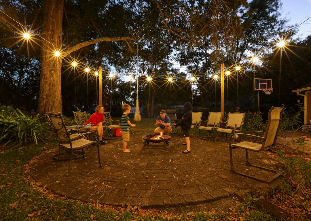 people sitting on chairs near trees during night time