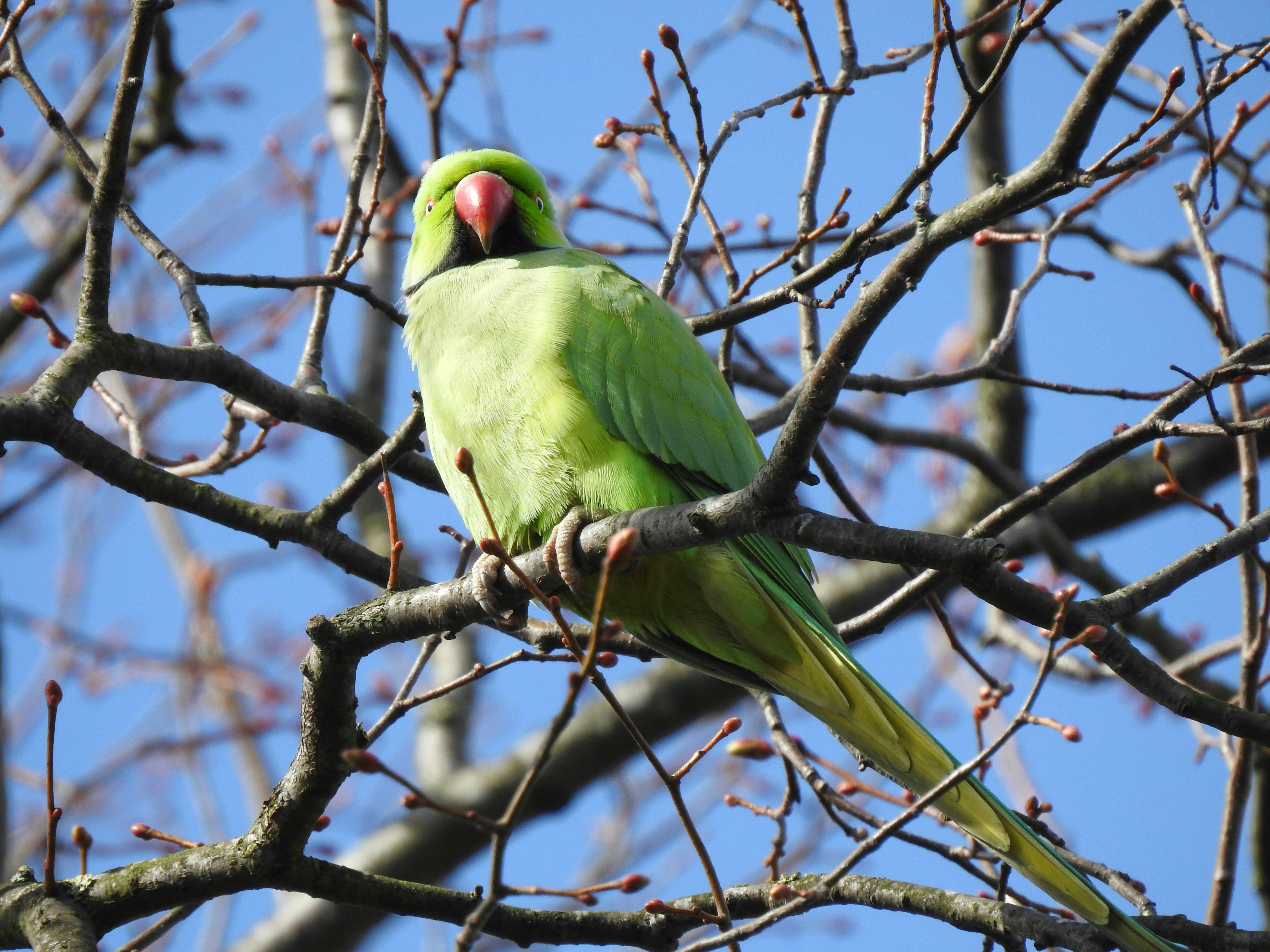 Photo by vijaychadha