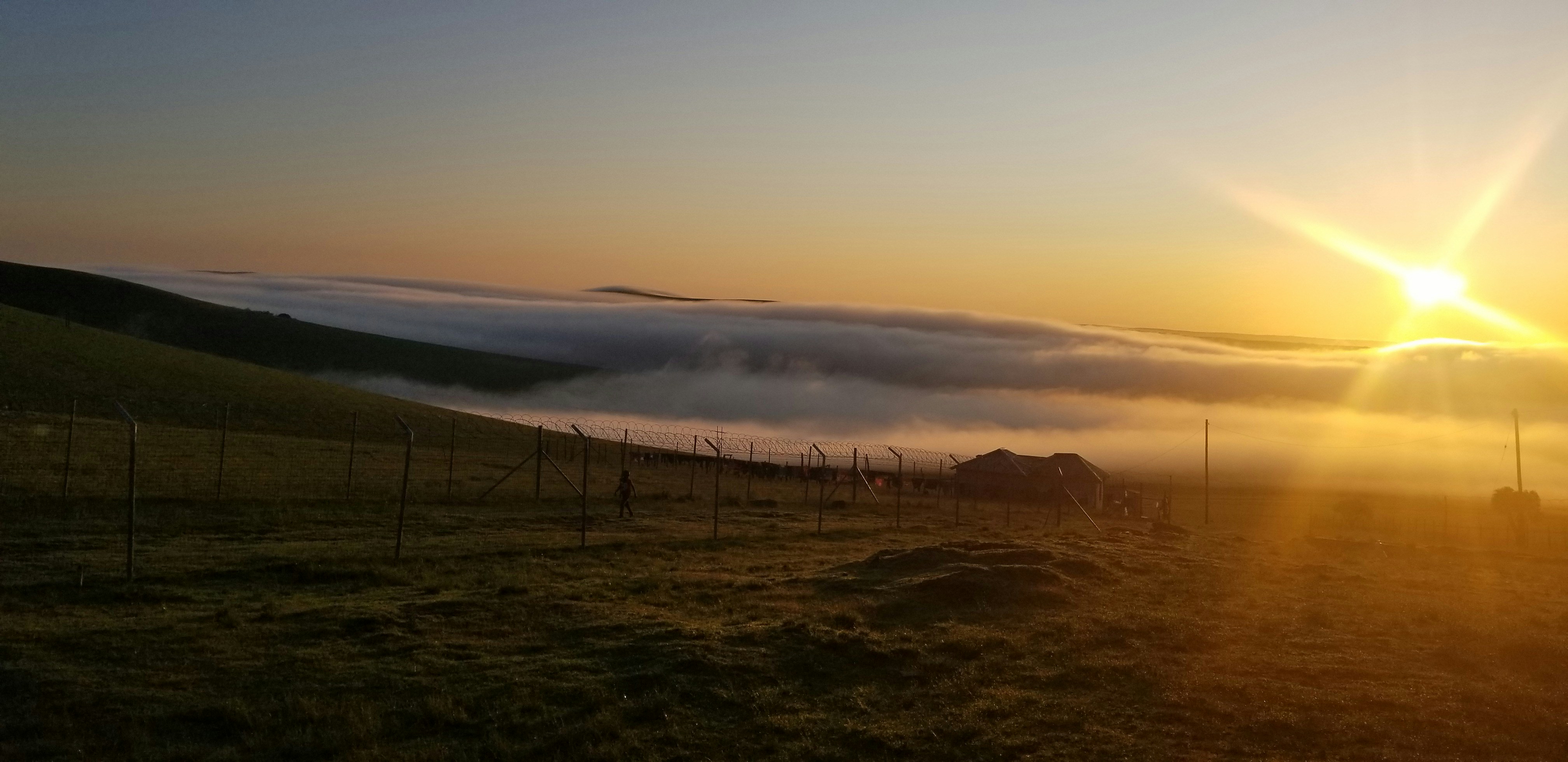 Photo by afrika_luti