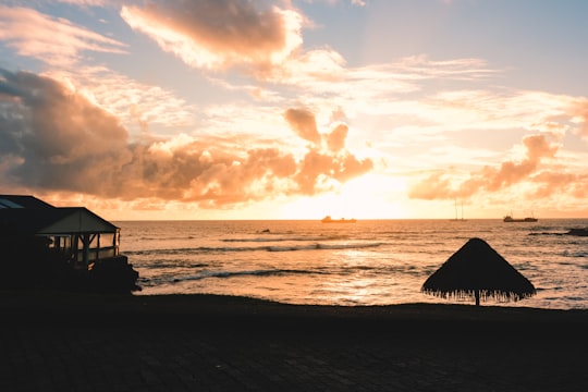 silhouette of people on beach during sunset in Easter Island Chile