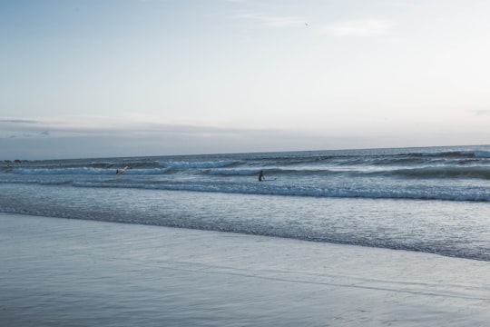 person walking on beach during daytime in Matosinhos Portugal