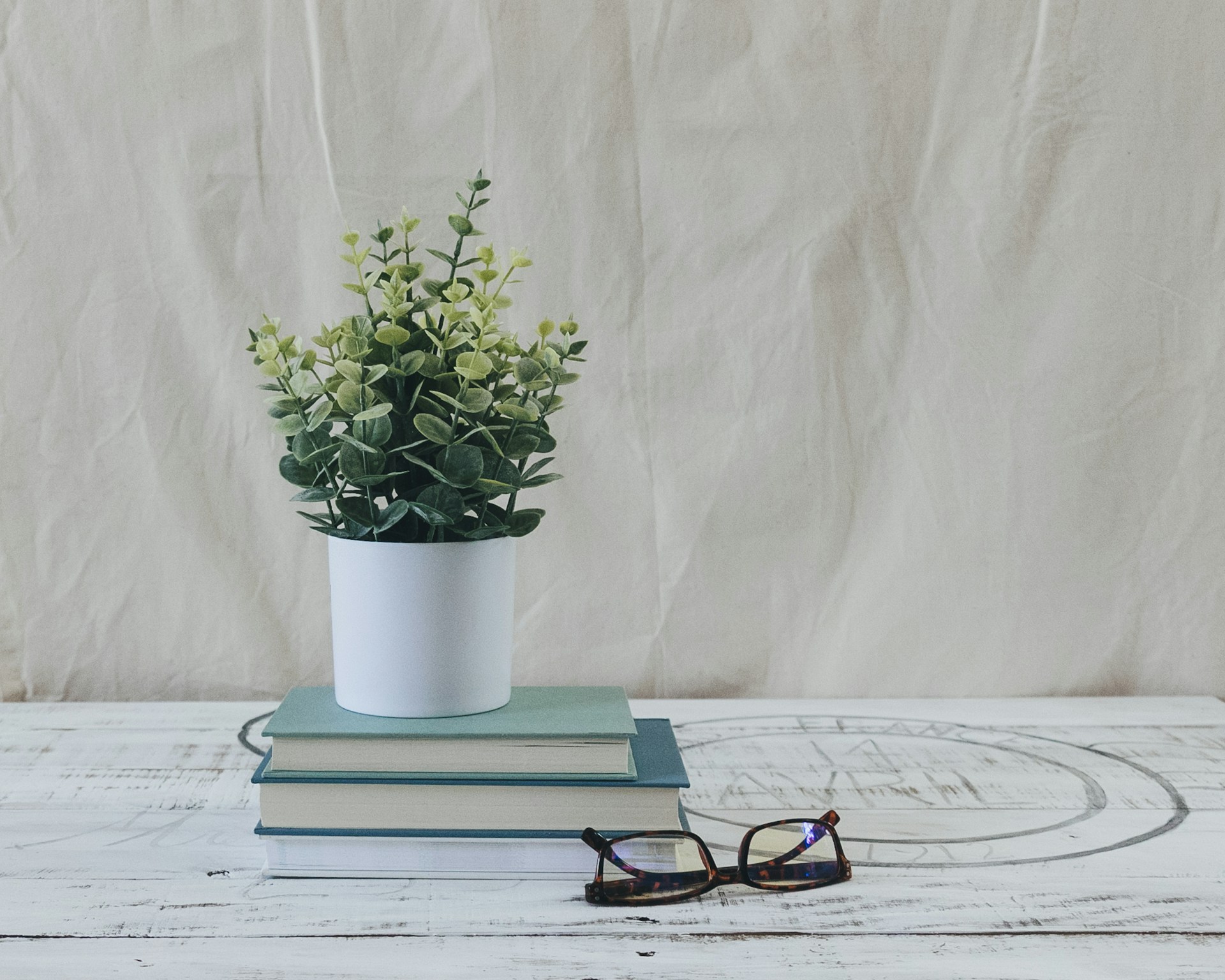 green plant in white ceramic vase