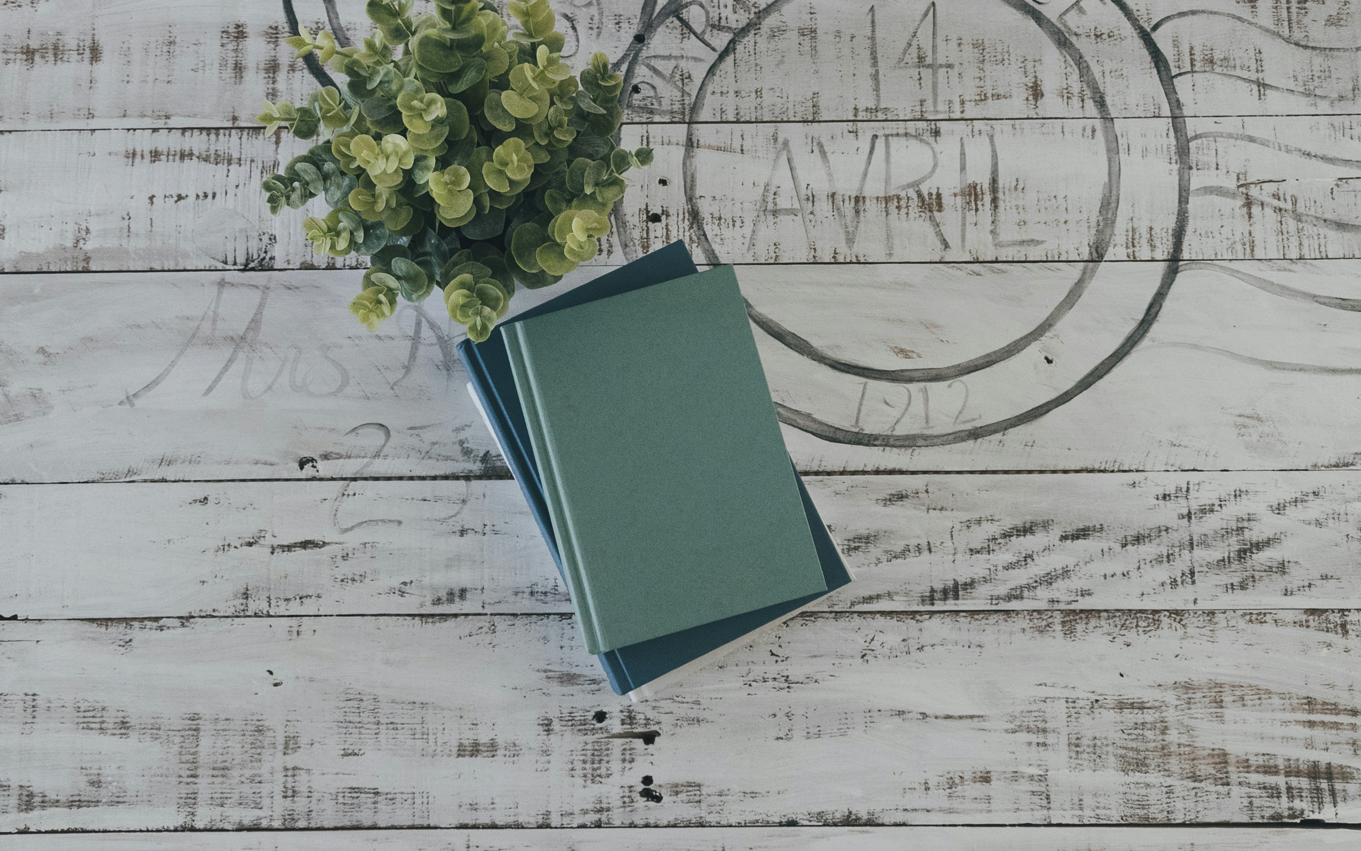 A beautiful and calming flat lay image featuring various items in different shades of sage green, like a notebook, a plant, and fabric swatches.