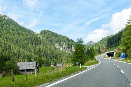 gray asphalt road between green trees during daytime in Land Salzburg Austria