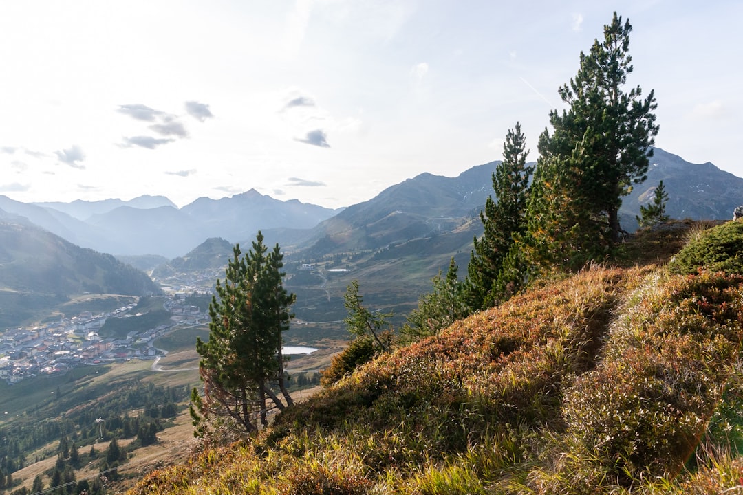 Forest photo spot Obertauern Annaberg