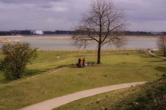 man in black jacket riding on black horse near body of water during daytime in Ridderkerk Netherlands