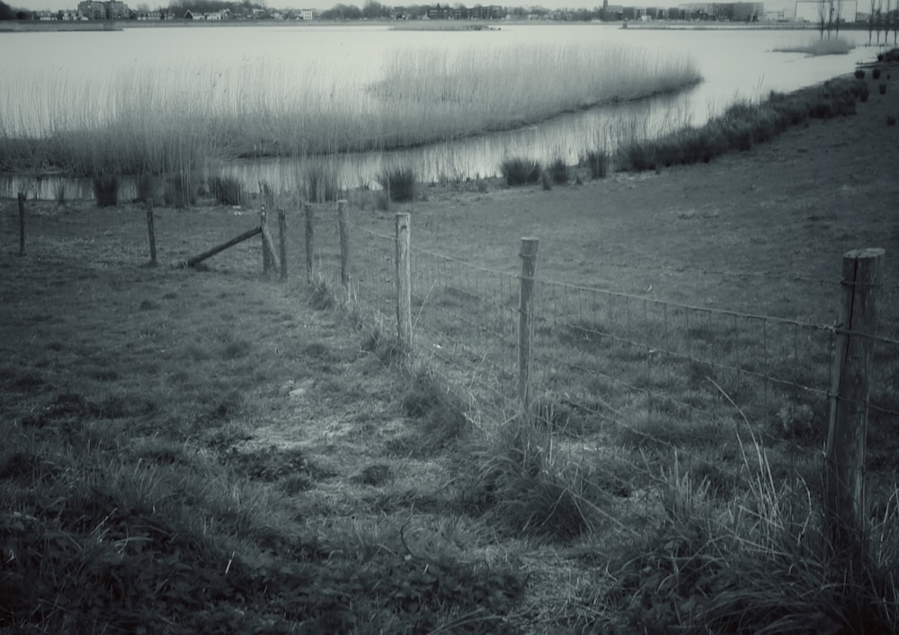 green grass field near lake during daytime