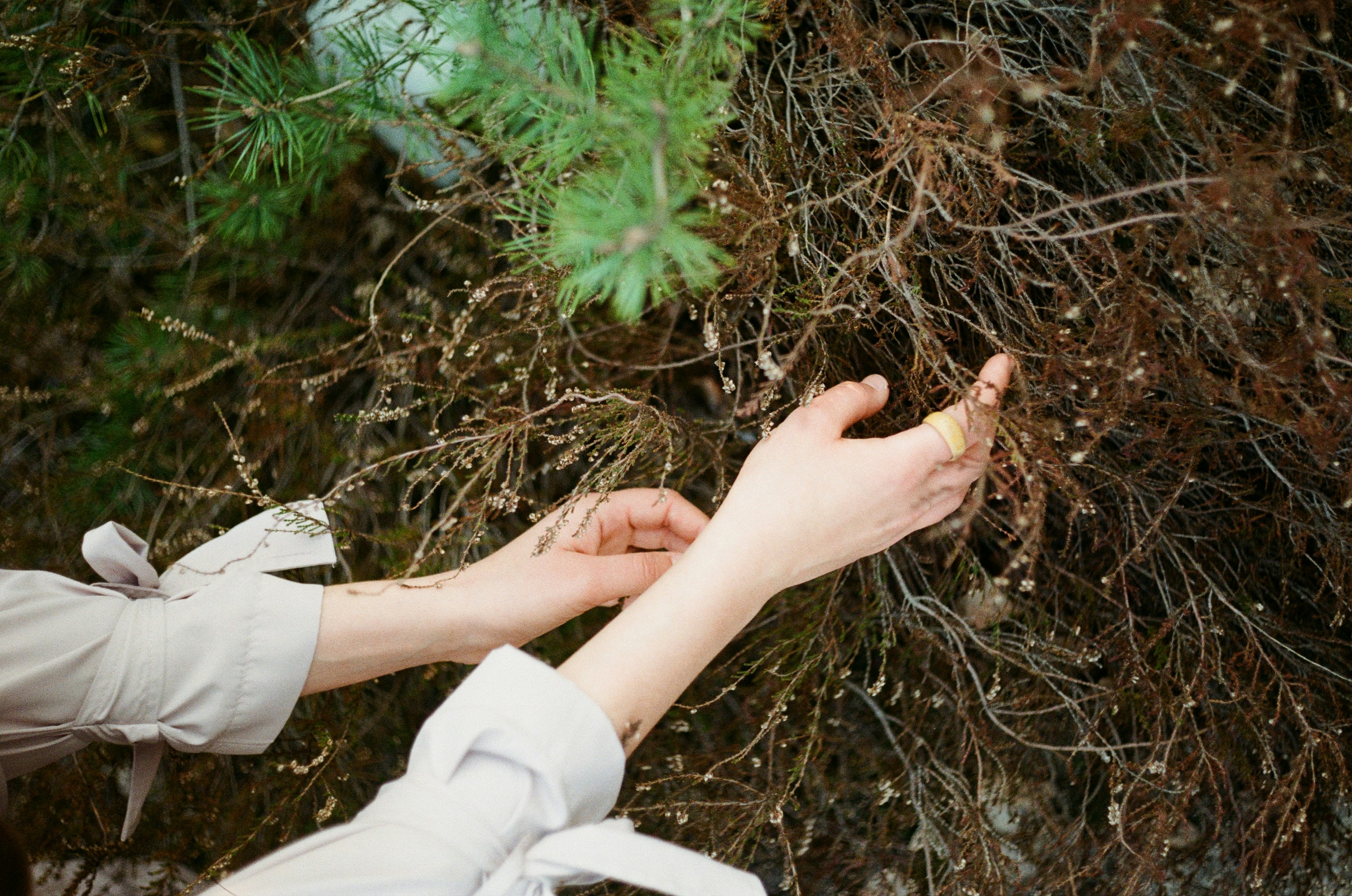 Photo by walkthecreator