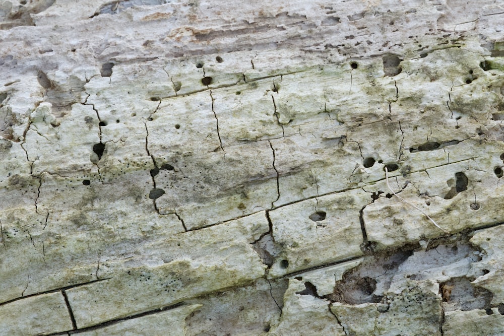 brown and gray concrete wall