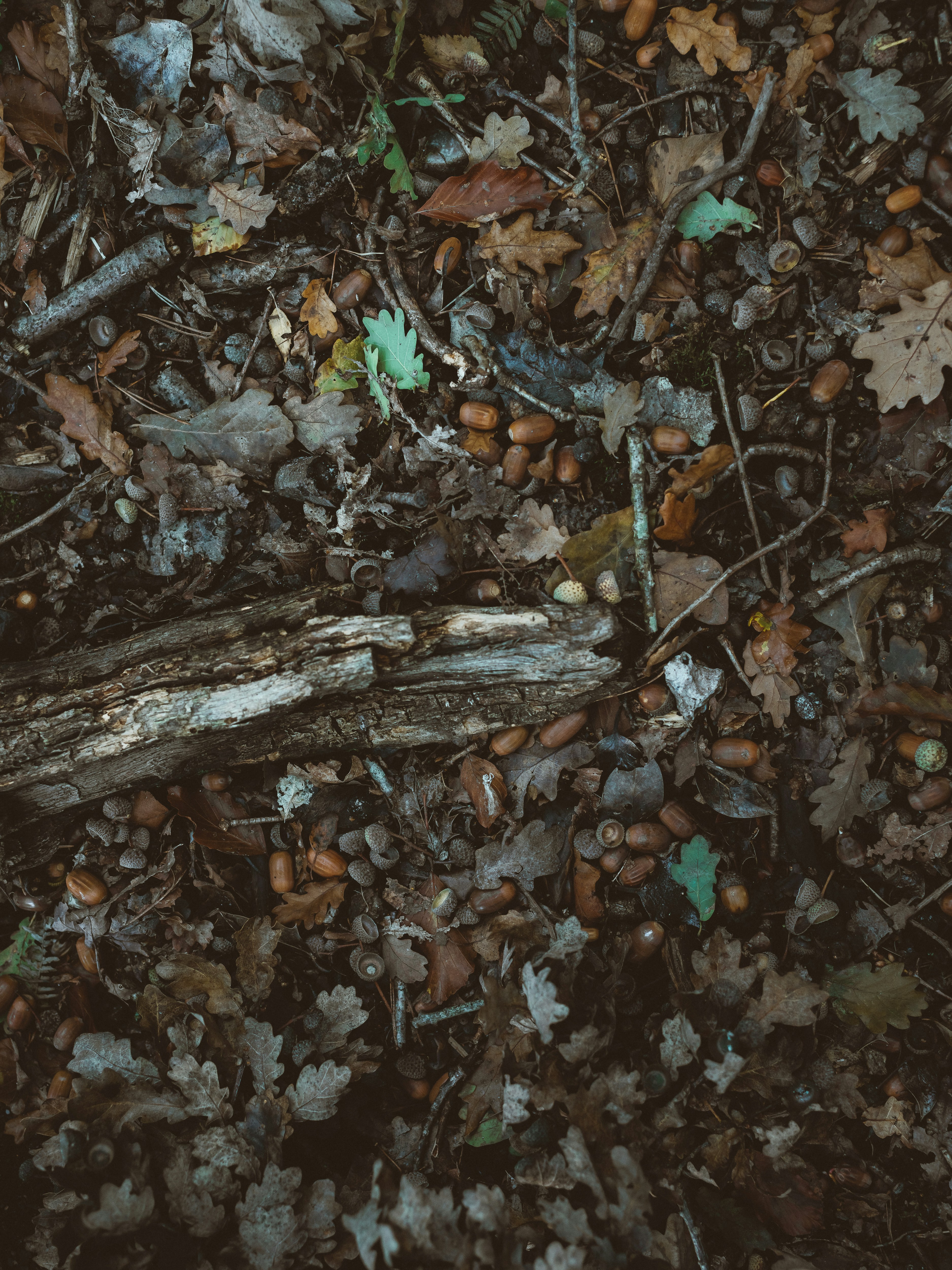 Photo by anniespratt