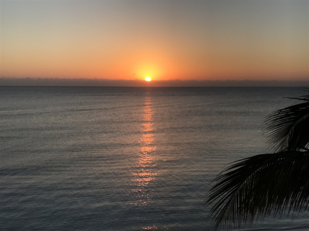 body of water during sunset