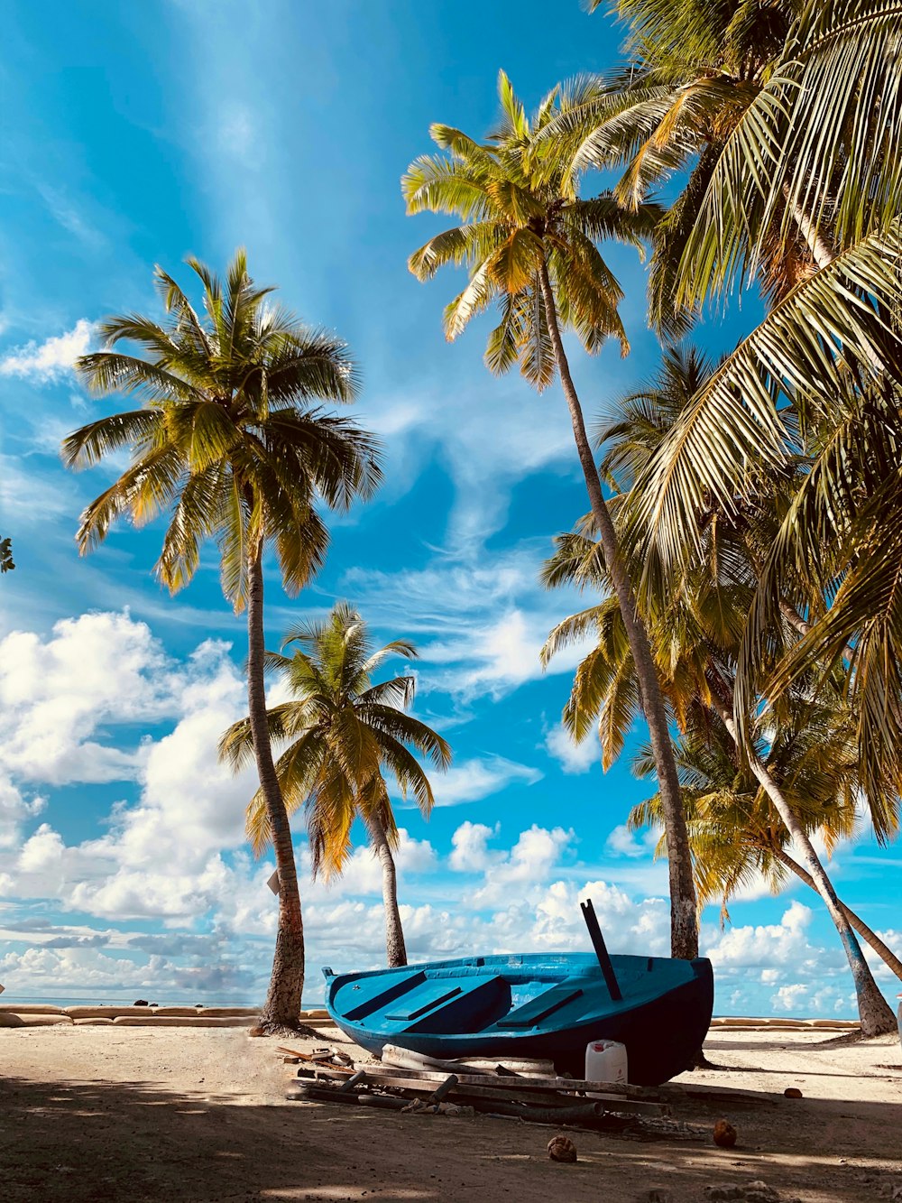 Palmera verde cerca de la playa durante el día