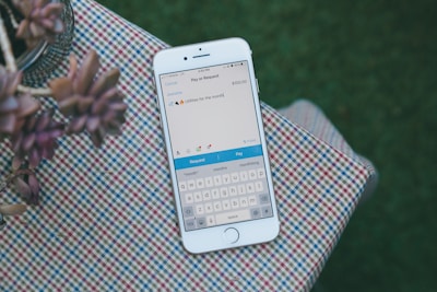 A smartphone is placed on a checkered surface outdoors, displaying a payment or request app where someone is trying to send or request $100 for utilities. There is a potted plant with succulent leaves in the corner.