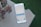 A smartphone is placed on a checkered surface outdoors, displaying a payment or request app where someone is trying to send or request $100 for utilities. There is a potted plant with succulent leaves in the corner.