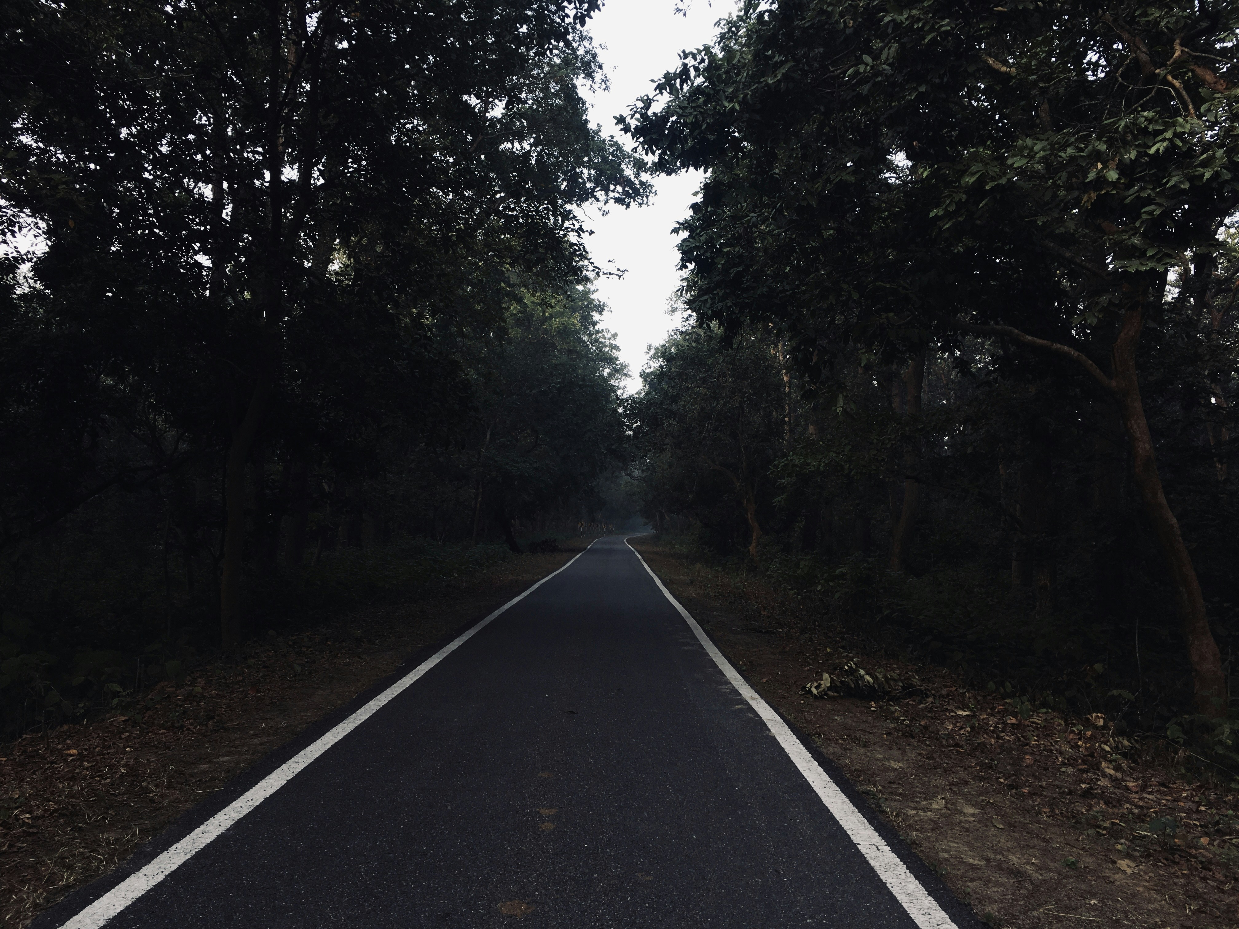 Long-term journey and path representing sustained treatment over time