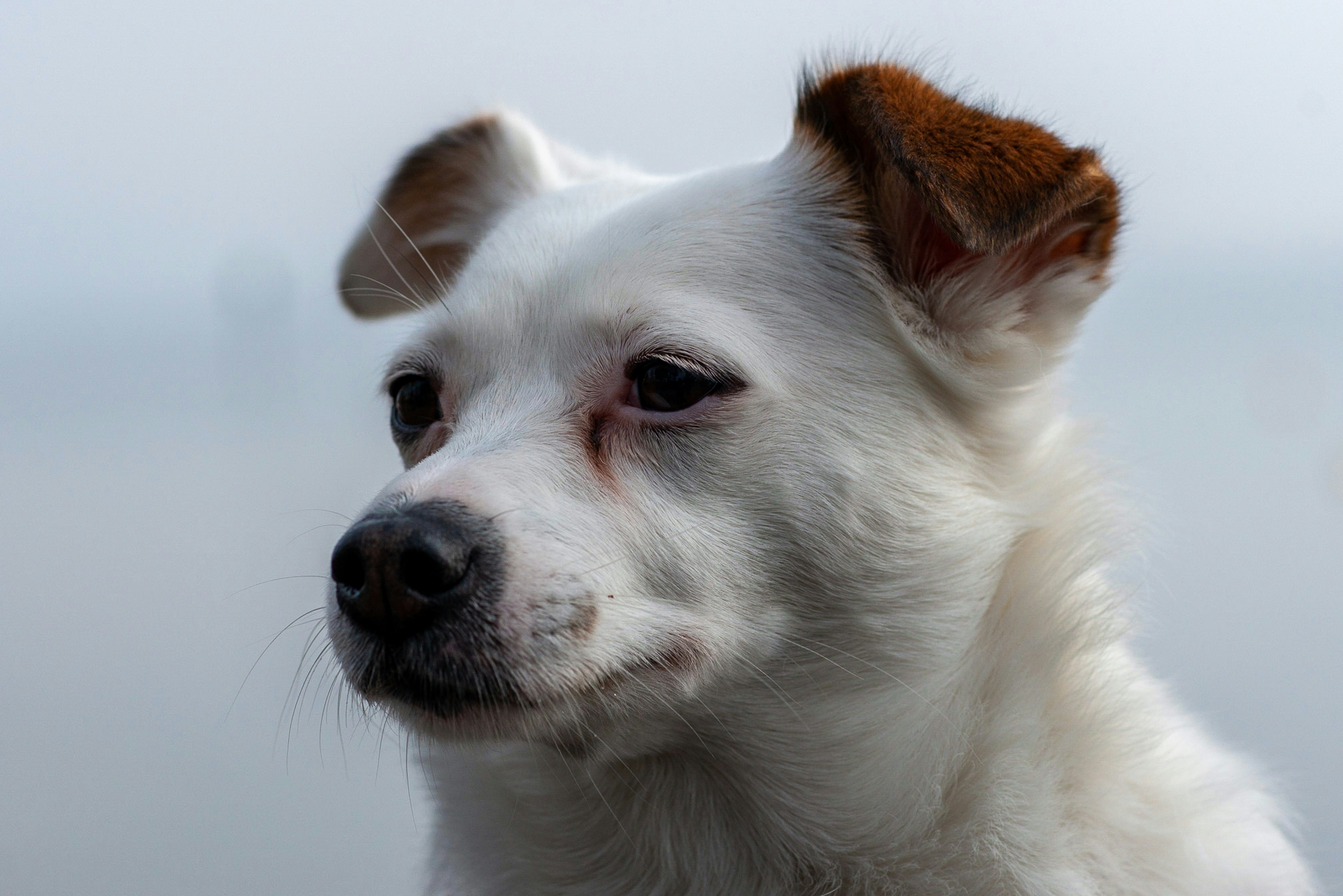 Photo by calina