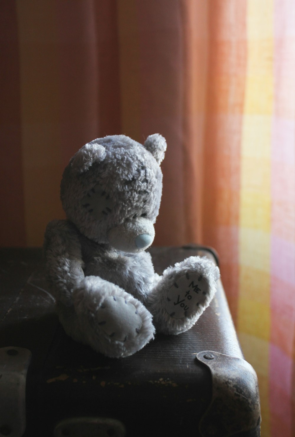 gray teddy bear on black table