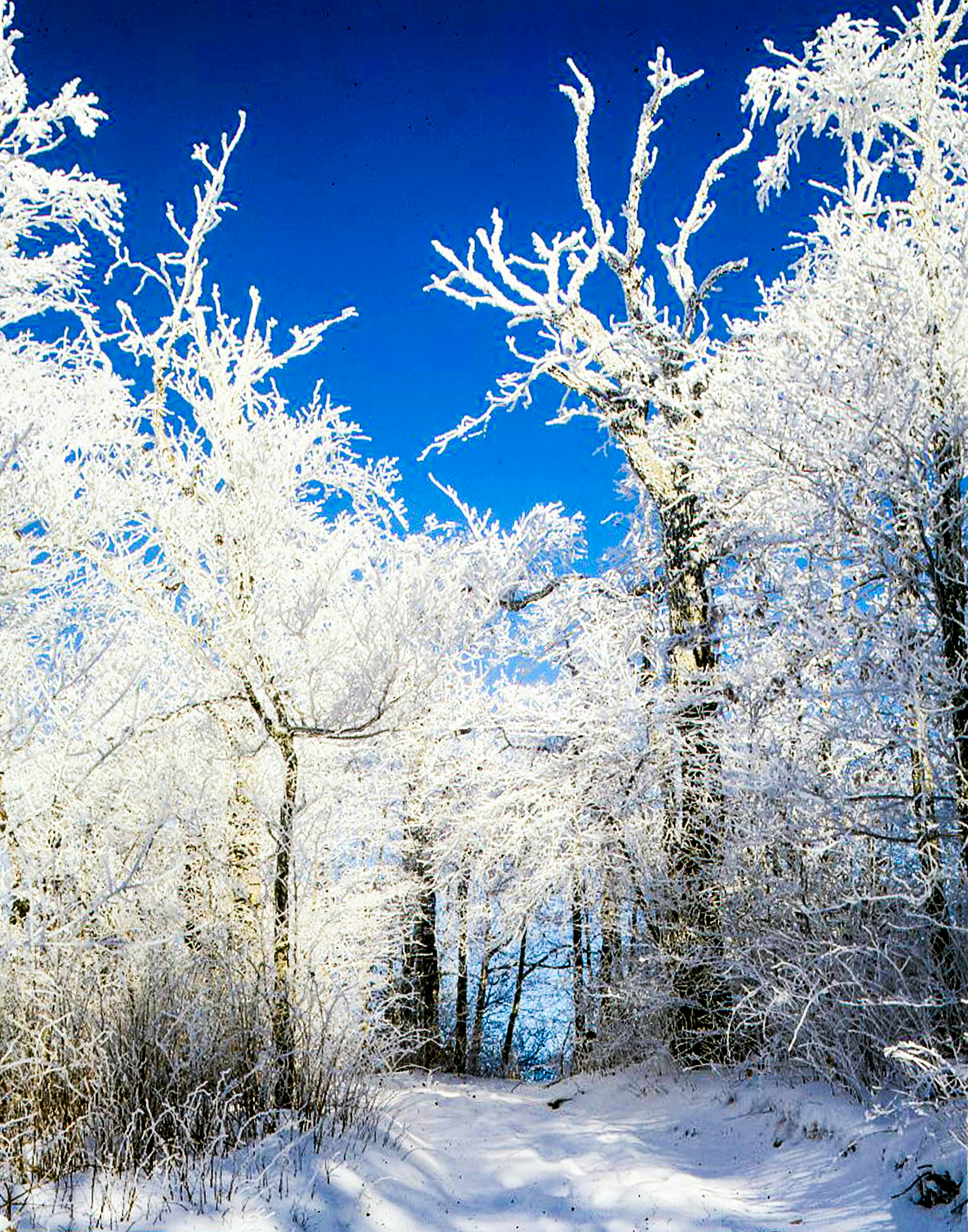 Photo by brenda06370