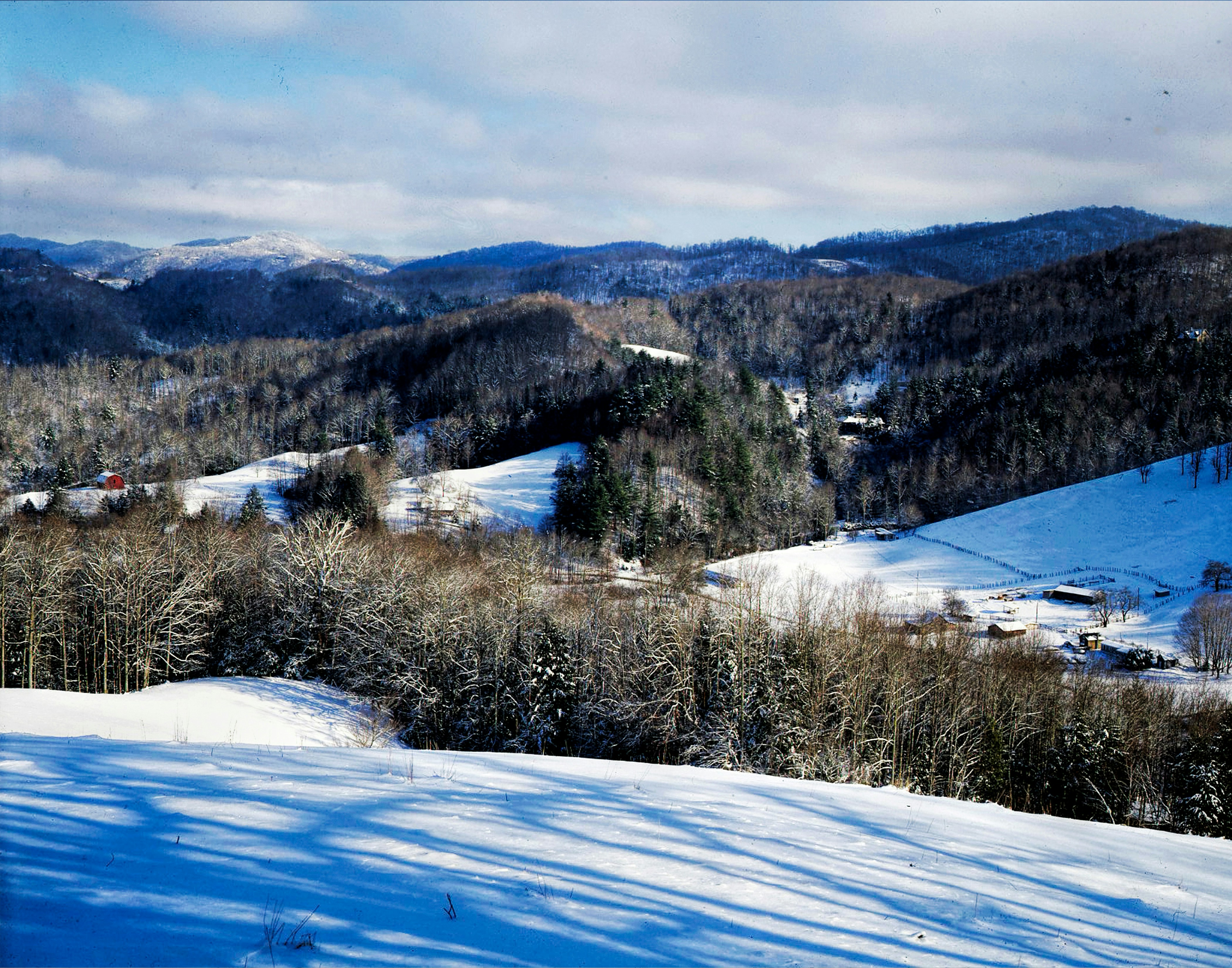 Photo by brenda06370