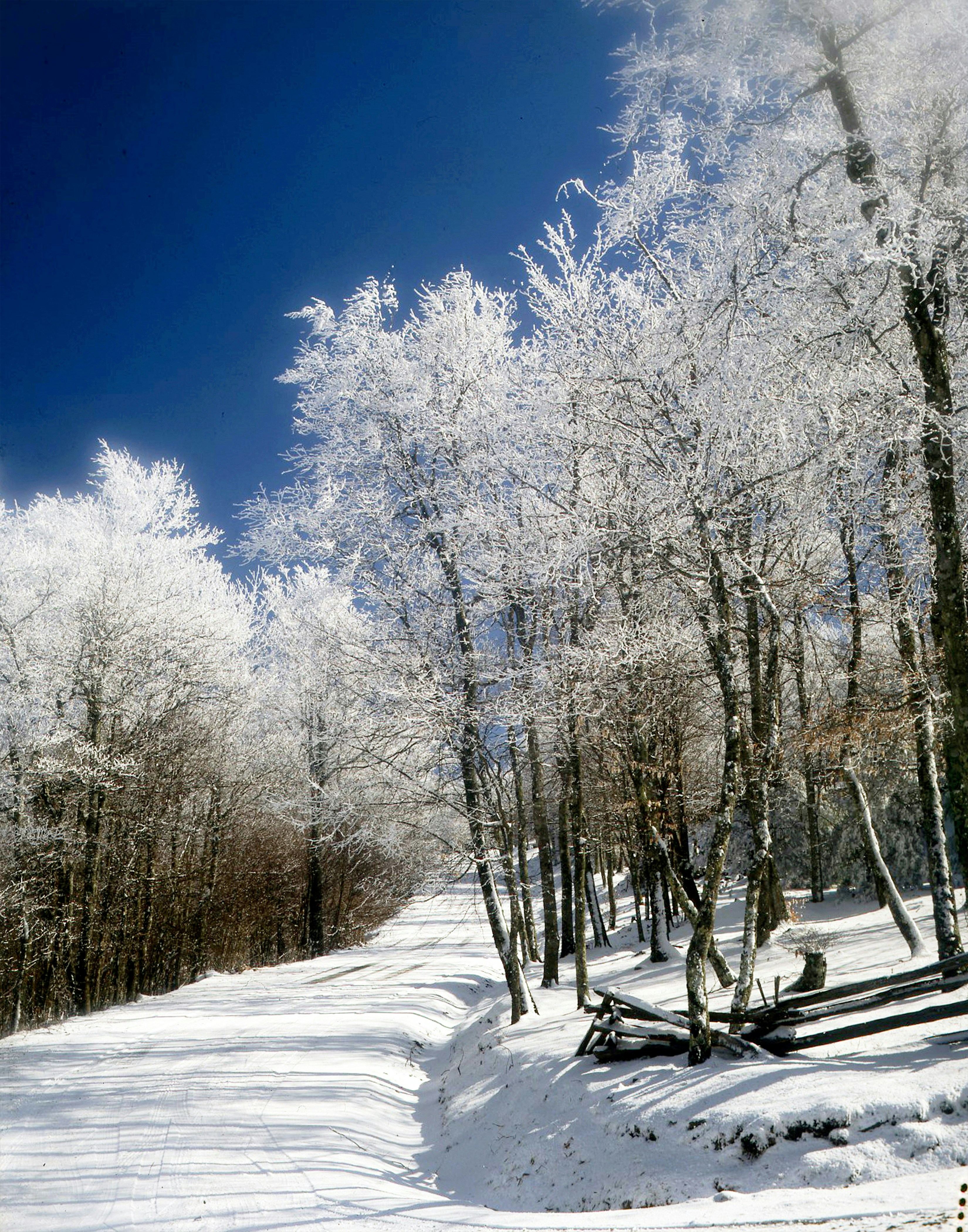 Photo by brenda06370