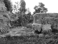 A rural scene with haystacks and stacks of turf in a field. The background features some trees, and the ground is covered in patches of grass. The setting appears to be a countryside environment.
