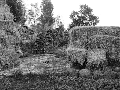 A rural scene with haystacks and stacks of turf in a field. The background features some trees, and the ground is covered in patches of grass. The setting appears to be a countryside environment.