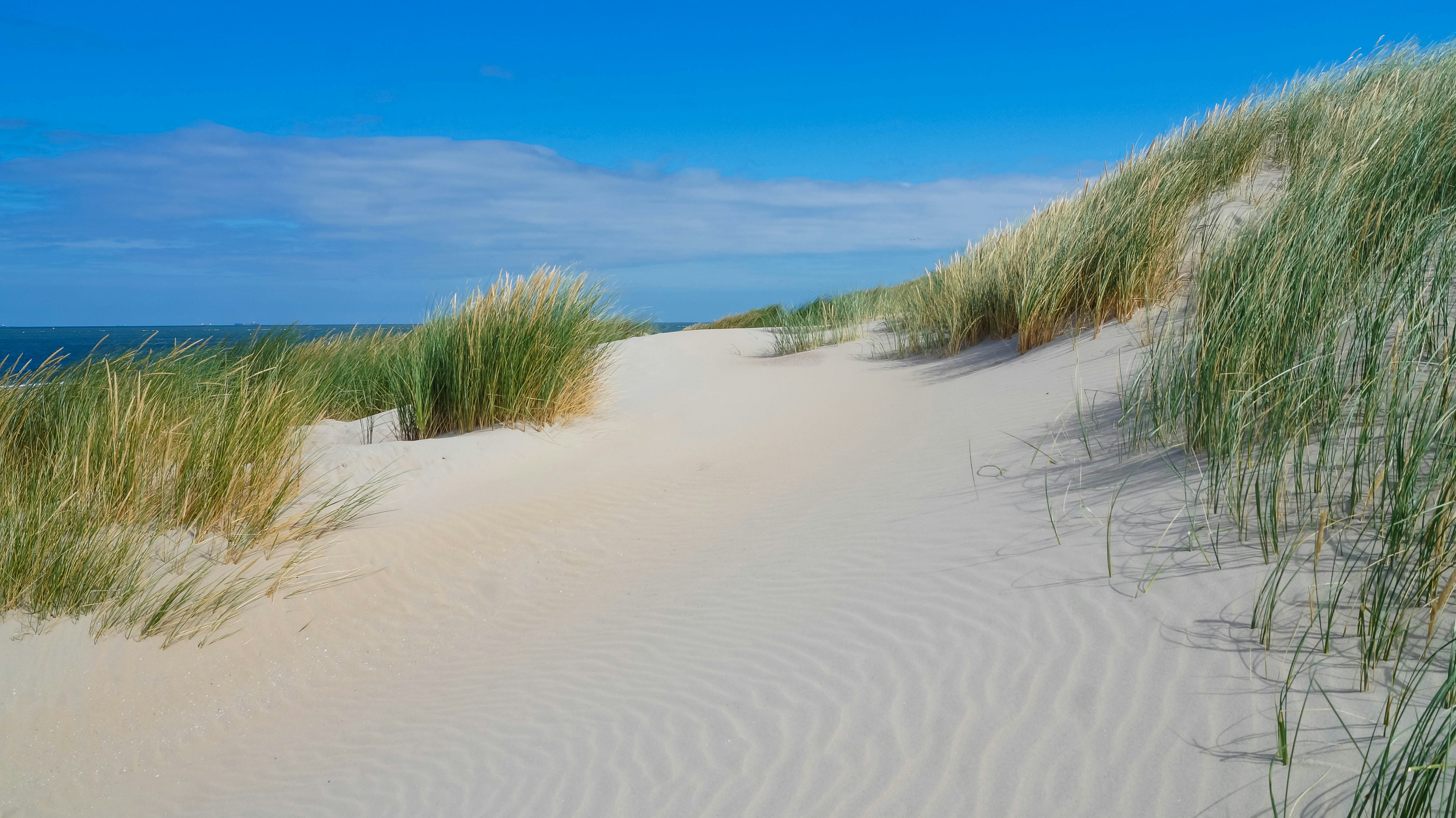 The Ticking Clock Trick: How Deadlines Transform Boring Plots Into Page-Turners