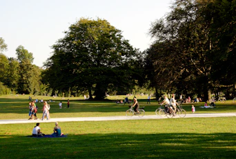 people relaxing and biking in sunny park