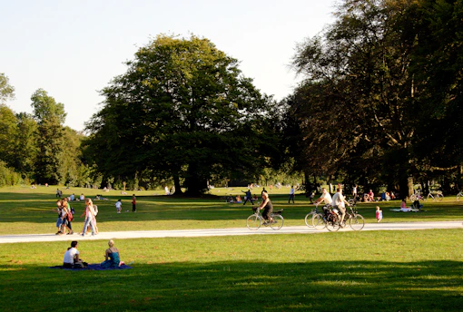 people relaxing and biking in sunny park