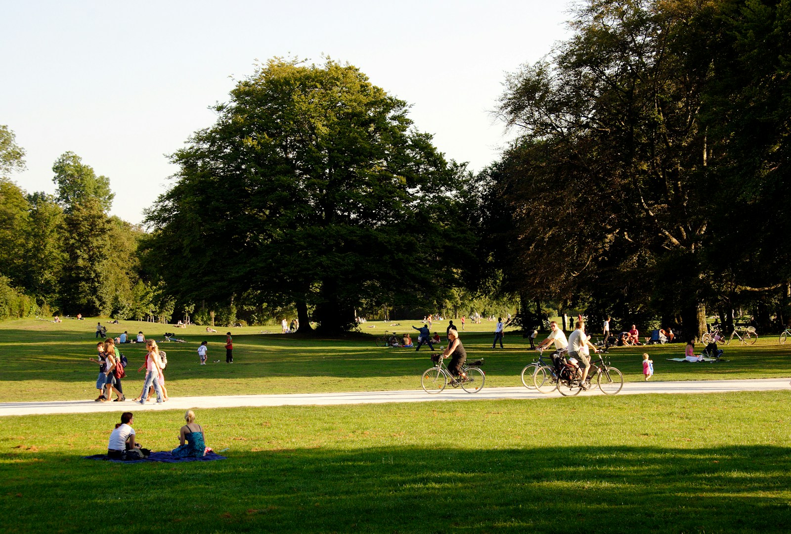 a park with people walking and playing