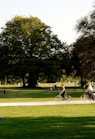 people playing soccer on green grass field during daytime