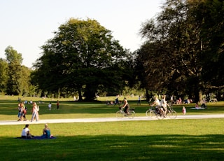 people playing soccer on green grass field during daytime