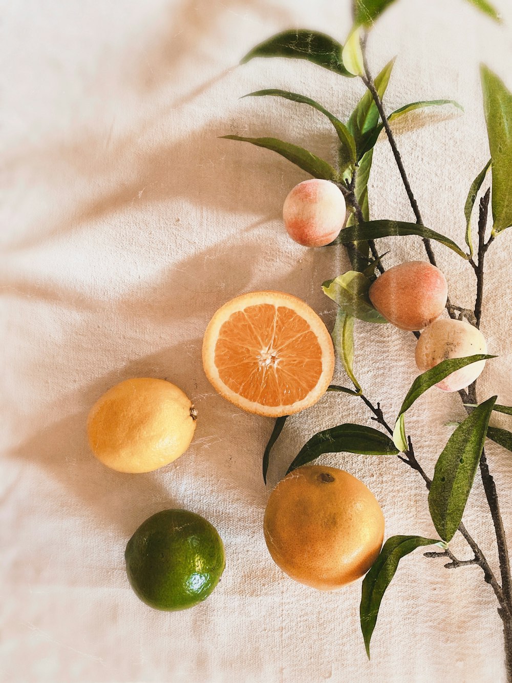 Orangenfrüchte auf weißem Textil