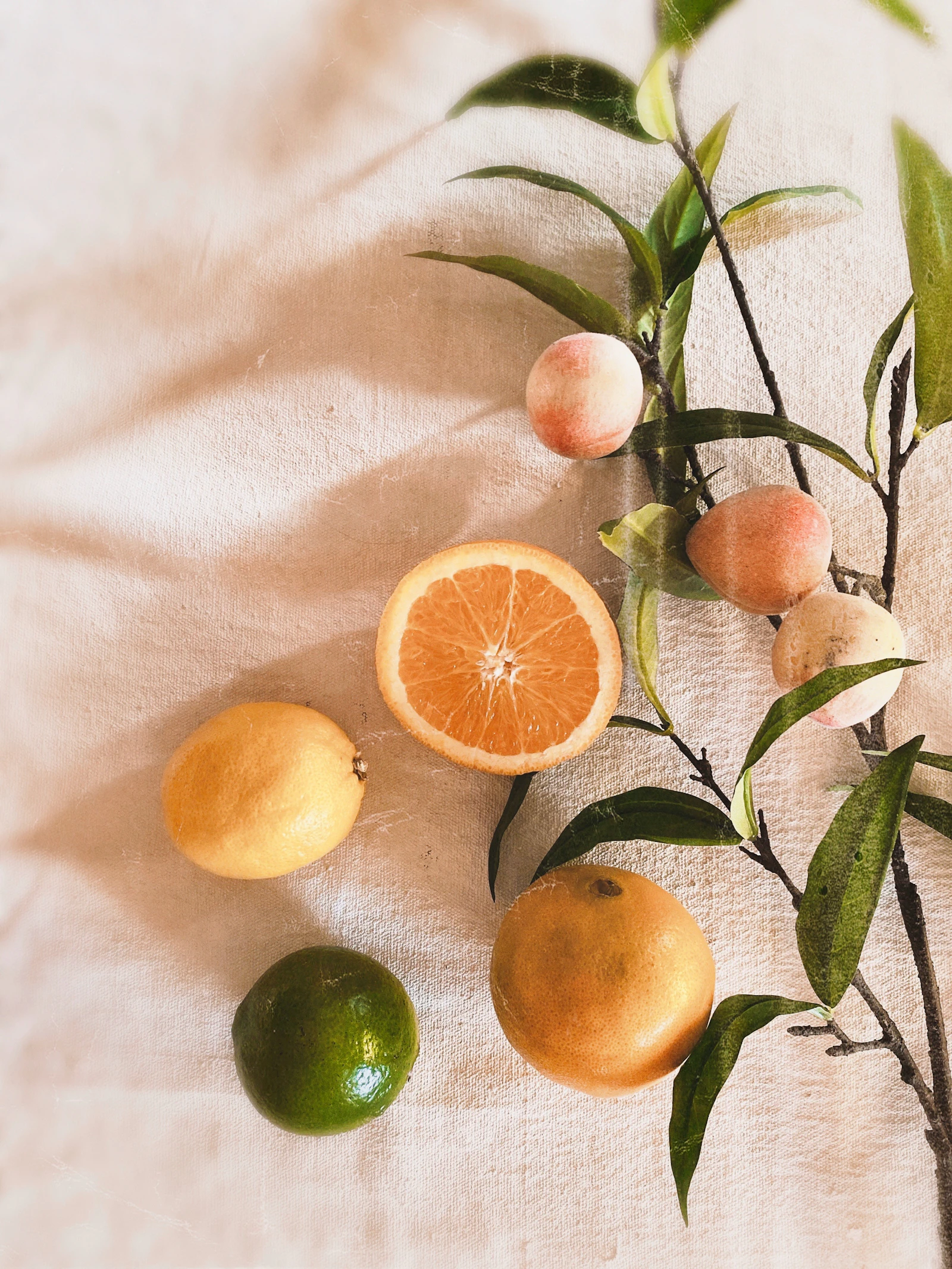 A vitamin C serum bottle styled with citrus fruit, representing a brightening serum comparison