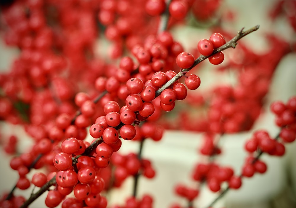 red round fruits on white table