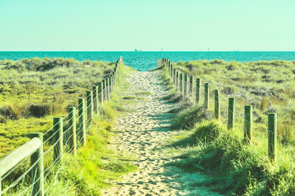 green grass field near body of water during daytime